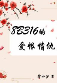 8B316的爱恨情仇